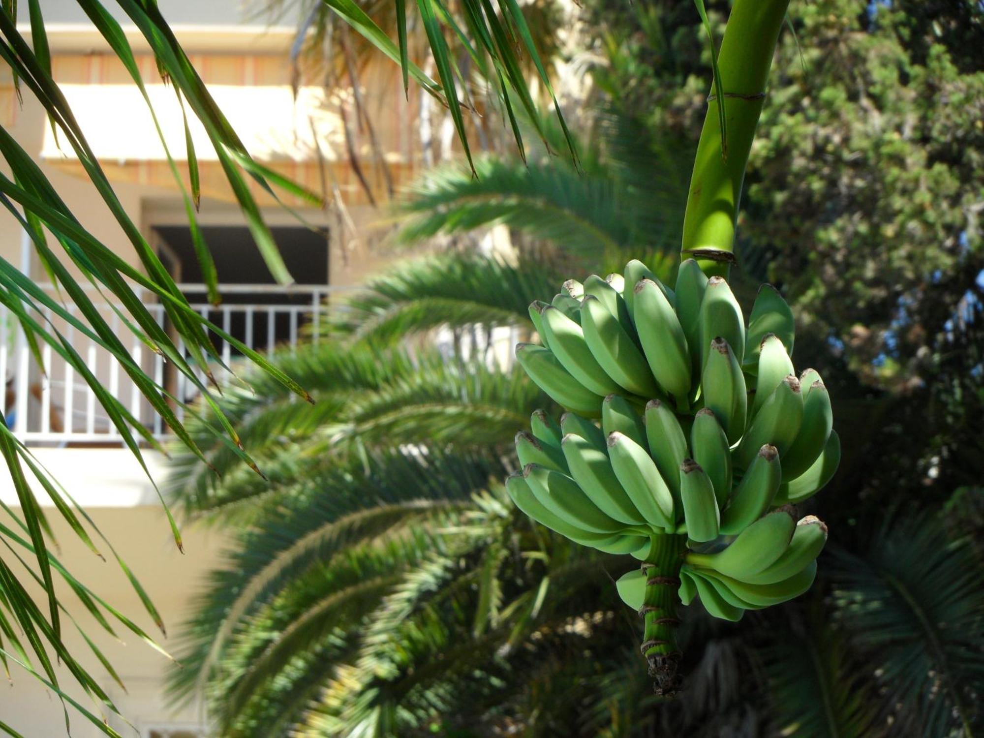 Residence Veles Plage Κάννες Εξωτερικό φωτογραφία